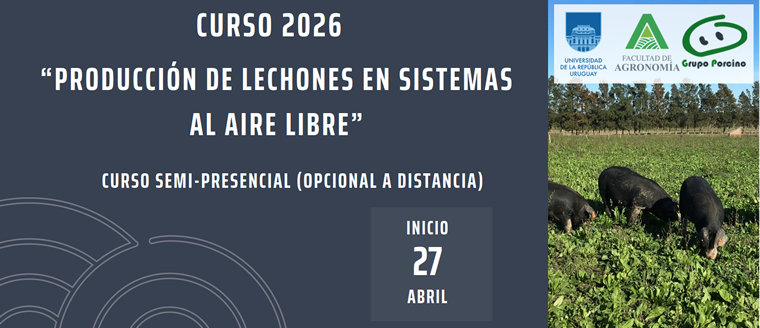 Curso a distancia Producción de Lechones en Sistemas al Aire Libre